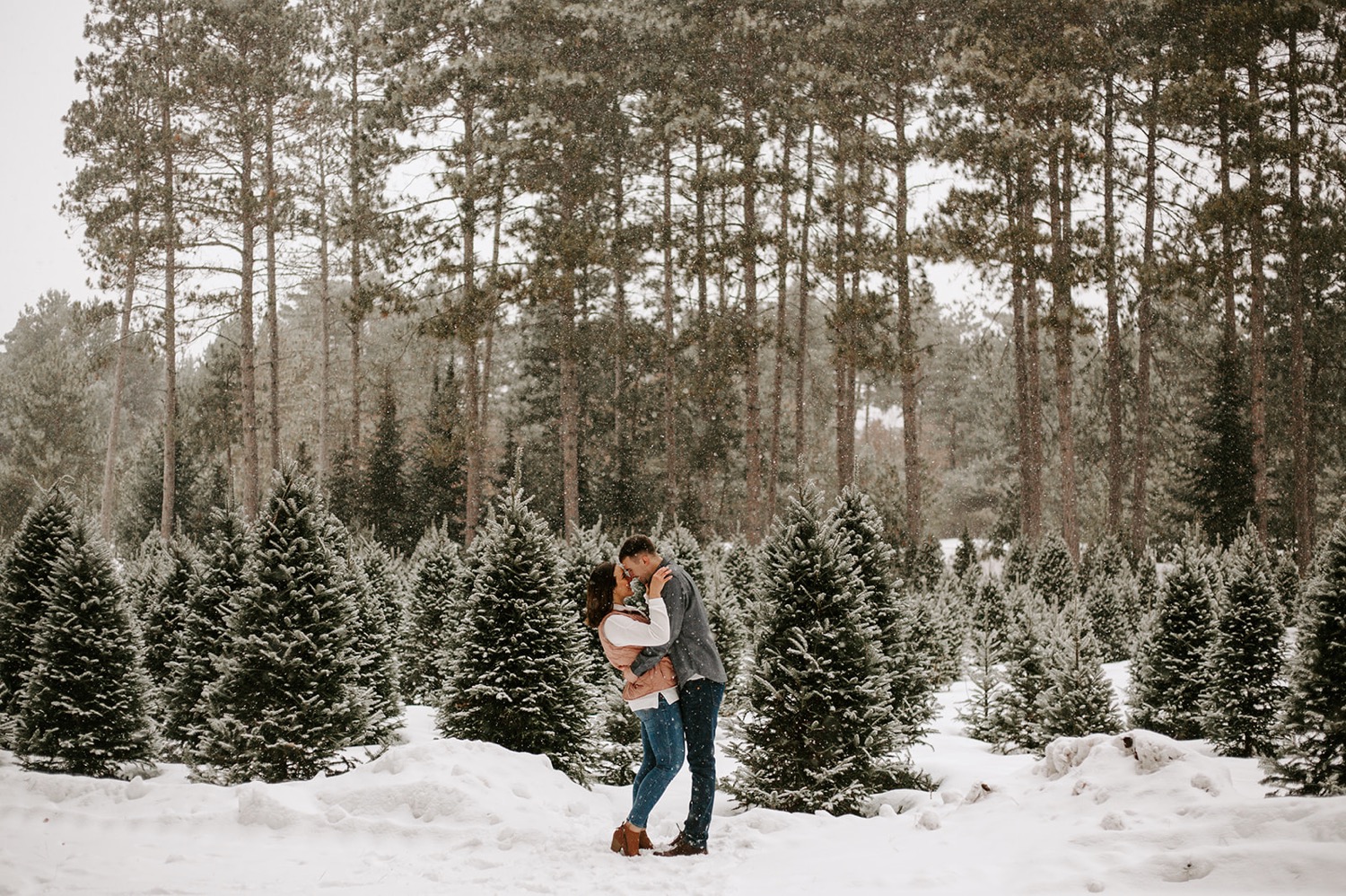 Engagement photos at Hansen Tree Farm